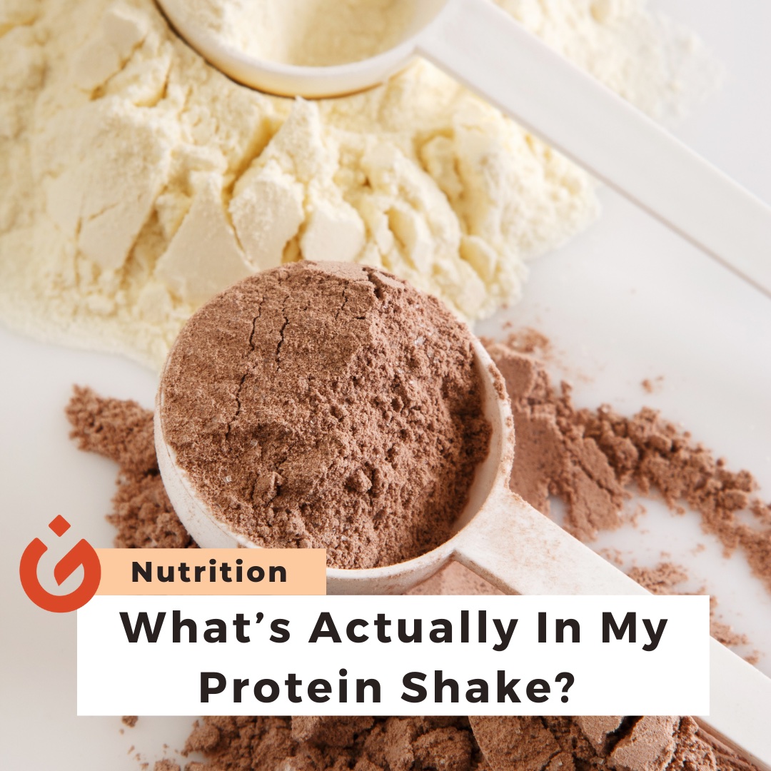What's Actually In My Protein Shake?